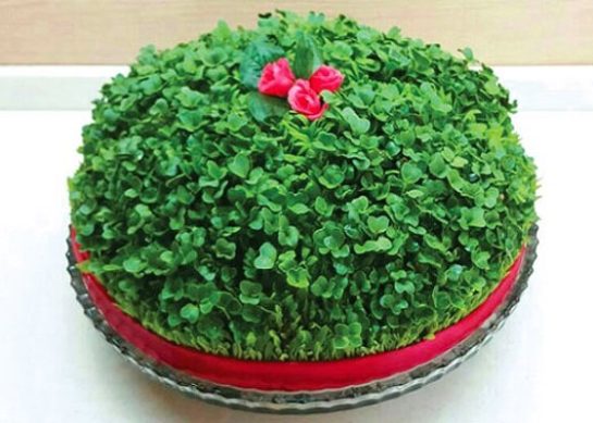 طرز تهیه سبزه کنجد برای عید نوروز ساده و شیک برای هفت سین