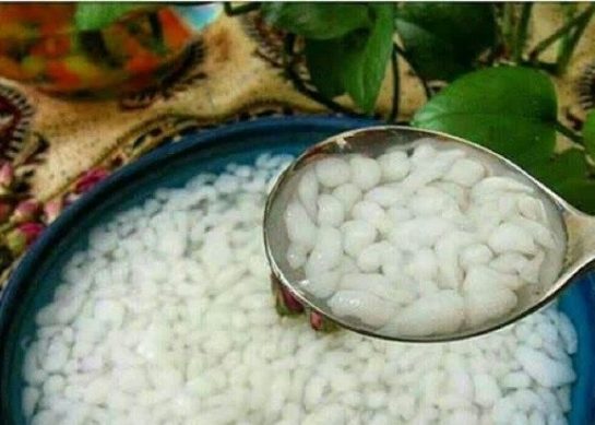 طرز تهیه فالوده کرمانی خانگی خوشمزه و فوری با نشاسته_رستوران یاب