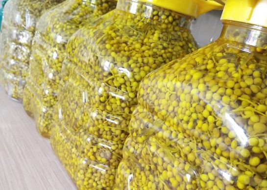 طرز تهیه ترشی بنه سبز کوهی با سرکه فوری و راحت_رستوران یاب