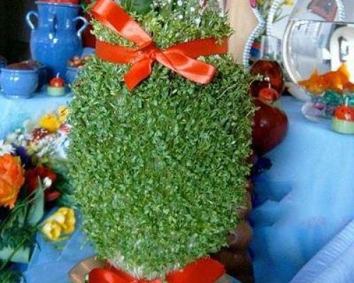 طرز تهیه سبزه شاهی